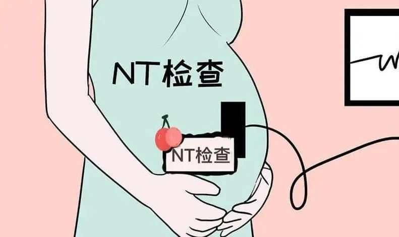 ̥һPNTz顱ʋǧfe`