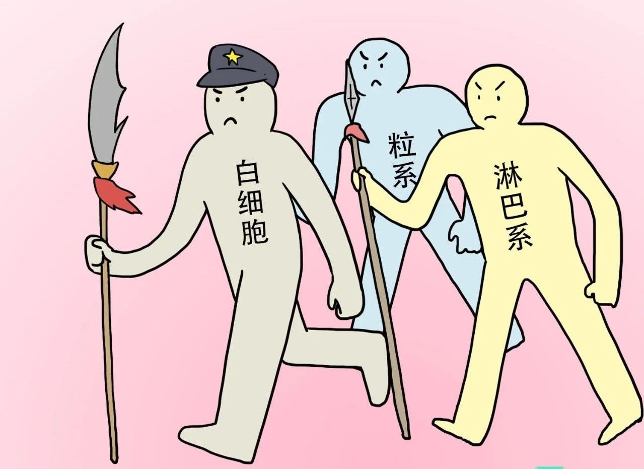 ѪҎм^ǽt